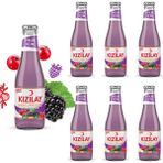 Kızılay Maden Suyu Doğal Karadut Frenk Üzümü Aromalı 200 ml x 6 Adet