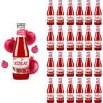 Kızılay Maden Suyu Doğal Nar Aromalı 200 Ml X 24 Adet