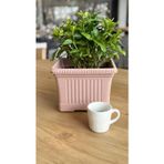 Kızılelmada Kizilelmada Ova Balkon Saksı No:1 – 27X16 Cm, 3.5 Litre Dikdörtgen Saksı