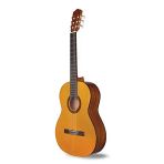 Klasik Gitar, Uygun Fiyat Ve Yüksek Ses Kalitesi