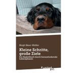 Kleine Schritte, große Ziele: Ein Begleitbuch durch herausfordernde Lebensphasen