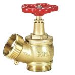 Klepsan 450 Yangın Vanası Tse 2