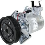 Klima Kompresörü Megane Iıı 08 Fluence 10 Sandero Iı 12 Logan Iı 12 Lodgy 12 Duster 10 1.5Dci 1.6 16V K4m 12V 6 Kanal 125Mm Pag46 Yağ 160Ml