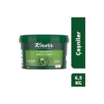 Knorr Chef Base Fs Sebzeli Çeşni 6,5 kg - Profesyonel Sebze Çeşnisi