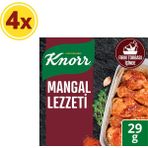 Knorr Mangal Lezzeti Çeşnile Fırınla 29 G X4