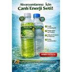 Koçlar Yeşil Su Akvaryum Balıkları İçin Su Piresi Hediyeli 500 Ml Besleyici Balık Yemi