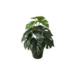 KOÇTAŞ Yapay Bitki Monstera