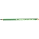 Koh-i Noor Polycolor 3800 Meadow Green Kuru Boya Kalemi