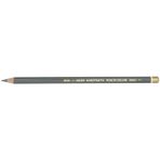 Koh-i Noor Polycolor 3800 Medium Grey Kuru Boya Kalemi