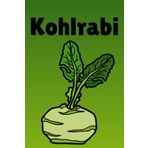 Kohlrabi Journal: Cultivate Your Creativity: Nurture Ideas with a Fresh, Green Perspective