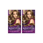 Koleston 7-00 Perfect Tüp Boya