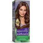 Koleston Naturals 6/1 Büyüleyici Kahve 4 Adet Saç Boyası