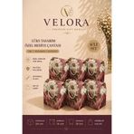 KOLİX Velora 6'lı Premium Karton Poşet Hediye Paketi Karton Çanta 24x14x20cm