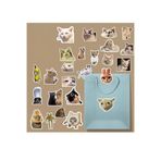 Komik Kedi/meme cat sticker paketi/bullet journal defter çıkartma ajanda laptop etiket