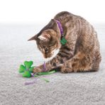 Kong 035585351018 7-8 cm Kedi Yün Hışırtı Oyuncak Ve Tasma Süsü