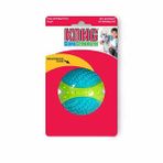 Kong Core Strength 6 cm Plastik Çiğneme Köpek Oyuncağı