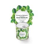 Konserve Bahçem Fide Yetiştirme Kiti Kıvırcık