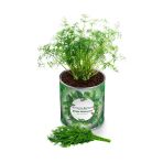 Konserve Dereotu Yetiştirme Kiti Kb011