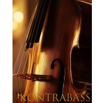 KONTRABASS: Notizbuch für Musiknoten: 100 Seiten leerer Notenblätter für Kontrabass-Enthusiasten