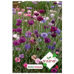 Kontur (centaurea) Çiçek Tohumu 50 Adet