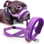 Köpek Ağızlığı -Havlama ve Çekiştirme Önleyici - S - Mor