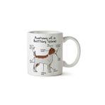 Köpek Anatomisi Brittany Spaniel Anatomy Baskılı Kupa