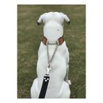 Köpek Boyun Tasması Ayarlanabilir Orta, Büyük ve Çok Büyük Irk Deri Tek Zincir