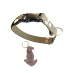 Köpek boyun tasması kolon yeşil genişlik:2,5cm boyun ölçüsü:24-46cm ayarlamalı S.M.L bedenlere uygun dog collar BalkondaNM288 T3-16
