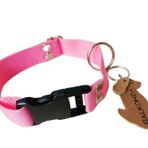 Köpek boyun tasması pembe kolon genişlik:2,5cm boyun ölçüsü:24-46cm ayarlamalı XS.S.M.L bedenlere uyumlu BalkondaNM297 T3-9