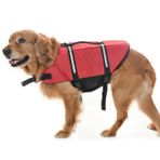 Köpek Can Yeleği Hibo
