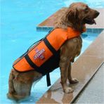 Köpek Can Yeleği Tonder