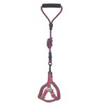 Köpek Göğüs Tasma Seti Dalga Desenli 2 cm*40-58 cm Mor-Pembe