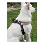 Köpek Göğüs Tasması Büyük & Dev Irk Ayarlamalı Kolon Kordon ve Nubuk Deri Lacivert & Vizon
