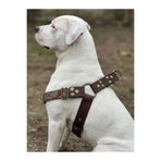 Köpek Göğüs Tasması Büyük & Dev Irk Ayarlamalı Kolon Kordon ve Nubuk Deri Yeşil & Kahverengi Kamuflaj
