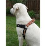 Köpek Göğüs Tasması Büyük Irk Ayarlamalı Kolon Kordon & Deri Siyah GT3-9