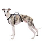 Köpek güvenlik koşum takımı, kaymaz köpek koşum takımı, Escape Proof, saplı yansıtıcı yemek takımı, nefes alır, uzun ömürlü, orta boy köpekler için ayarlanabilir yelek (siyah, M)