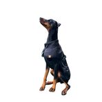 Köpek kıyafeti, Salya Store orta ve büyük ırk köpek yağmurluğu, Siyah (6XL)
