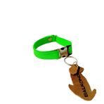 Köpek kolyesi likralı yumuşak kolon yeşil genişlik:1,5cm boyun ölçüsü:15-30cm ayarlamalı dog collar BalkondaNM292 T3-3