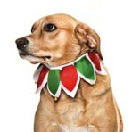 Köpek Lastikli Yılbaşı Yakalık Zazu
