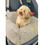 Köpek Oto Koltuğu-Seyahat Koltuğu-ayarlanabilir Çift Kordon-Kedi Yatağı-taşınabilir(Bej Medium)