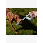 Köpek Oyuncağı Bej-mavi