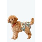 Köpek regl ve çiş bezleri, 3'lü avantajlı paket, 1 paket 3 desen (Safari, Large)