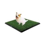 Köpek Tuvalet Eğitim Seti - Renkli