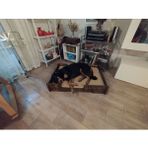 Köpek Yatağı 70*100 cm Bilboa Rahat ve Yıkanabilir Minder Yatak Dahil - Acı Kahverengi