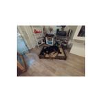 Köpek Yatağı 70*100 Cm Bilboa Rahat Ve Yıkanabilir Minder Yatak Dahil