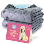Köpekler için Süper Emici Yıkanabilir Çiş Pedleri - 2'li Paket Üstün Yeniden Kullanılabilir Köpek Pedleri Evcil Hayvan Eğitim Pedleri - %100 Su Geçirmez Köpek Çiş Pedi İdrar Sızıntısına Karşı Korur