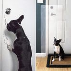 KORALL KÖPEK TIRMALAMA KAPI MOBİLYA KORUYUCU YAPIŞKANLI FOLYO 60X85 CM