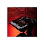 Korg Modwave Synthesizer
