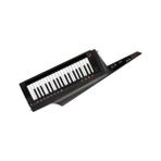 Korg RK-100S 2-BK Keytar 37 Tuşlu İnce Klavye ile Ergonomik Tasarım ve 8 Polifoni