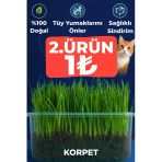 KorPet Doğal Kedi Çimi (üy Yumağı Önleyici, Sindirim Destekleyici)